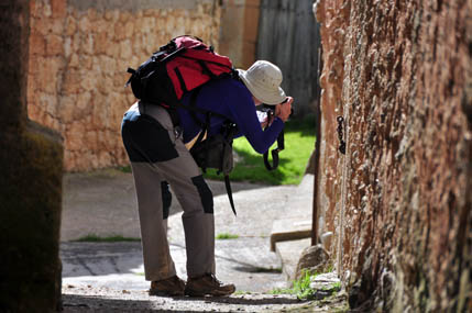 VER REPORTAJE DE FOTOS